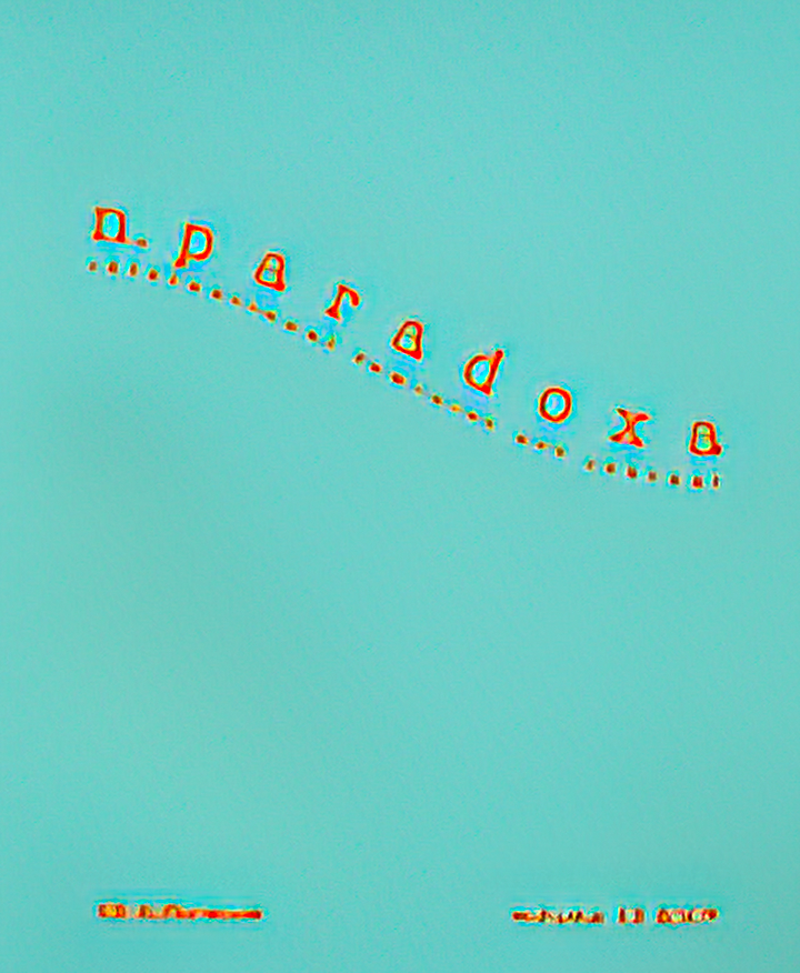 n.paradoxa - internationale feminist journal vol. 19