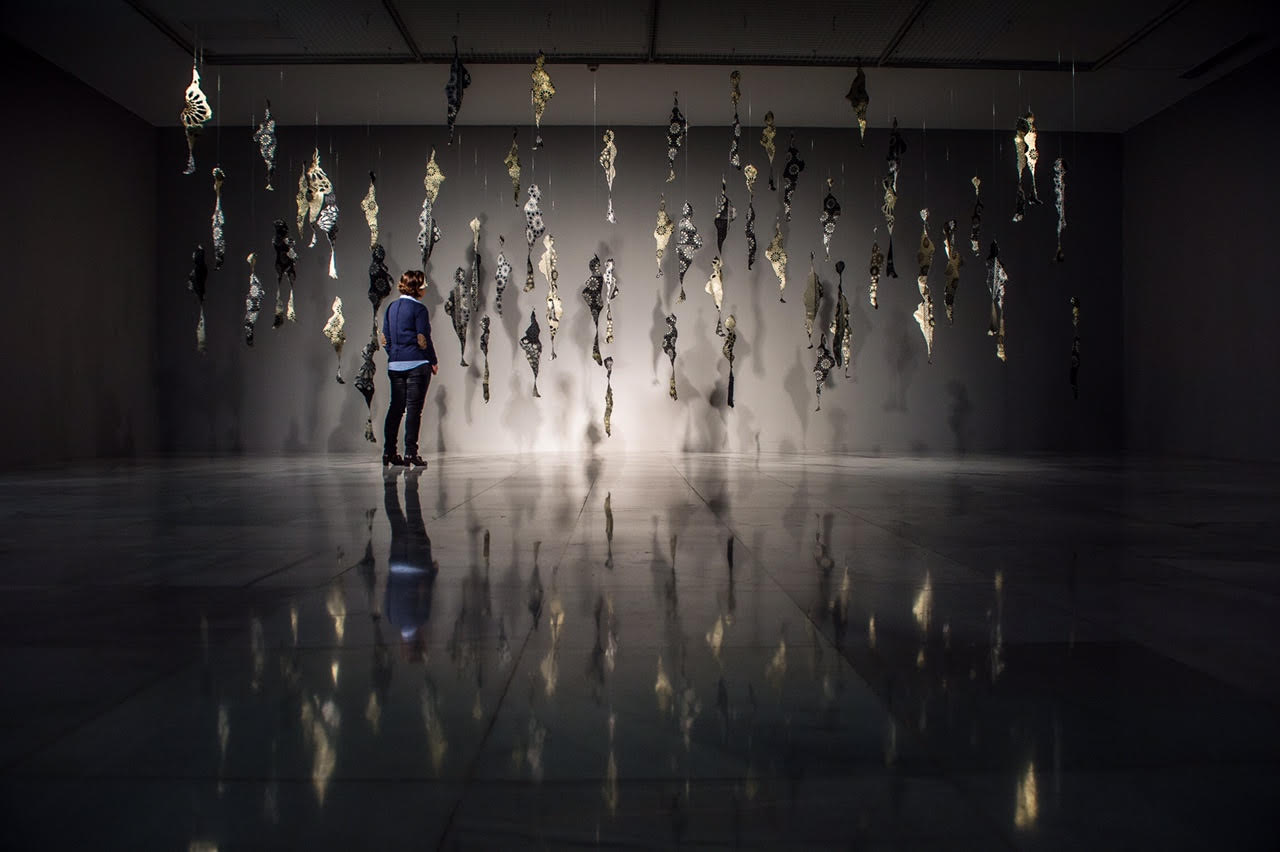 EL Iris de Lucy - Las Palmas